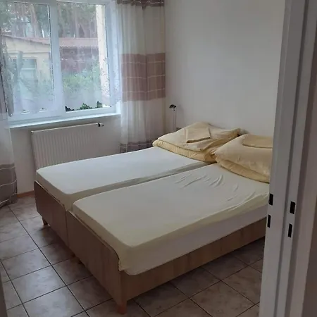 W Sosnach C Pensjonat *